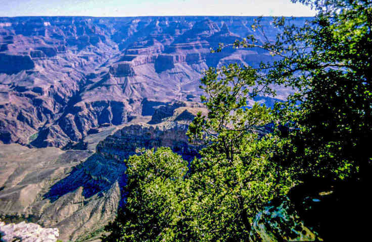 EEUU - Arizona 04 - parque nacional del Gran Cañon del Colorado .jpg